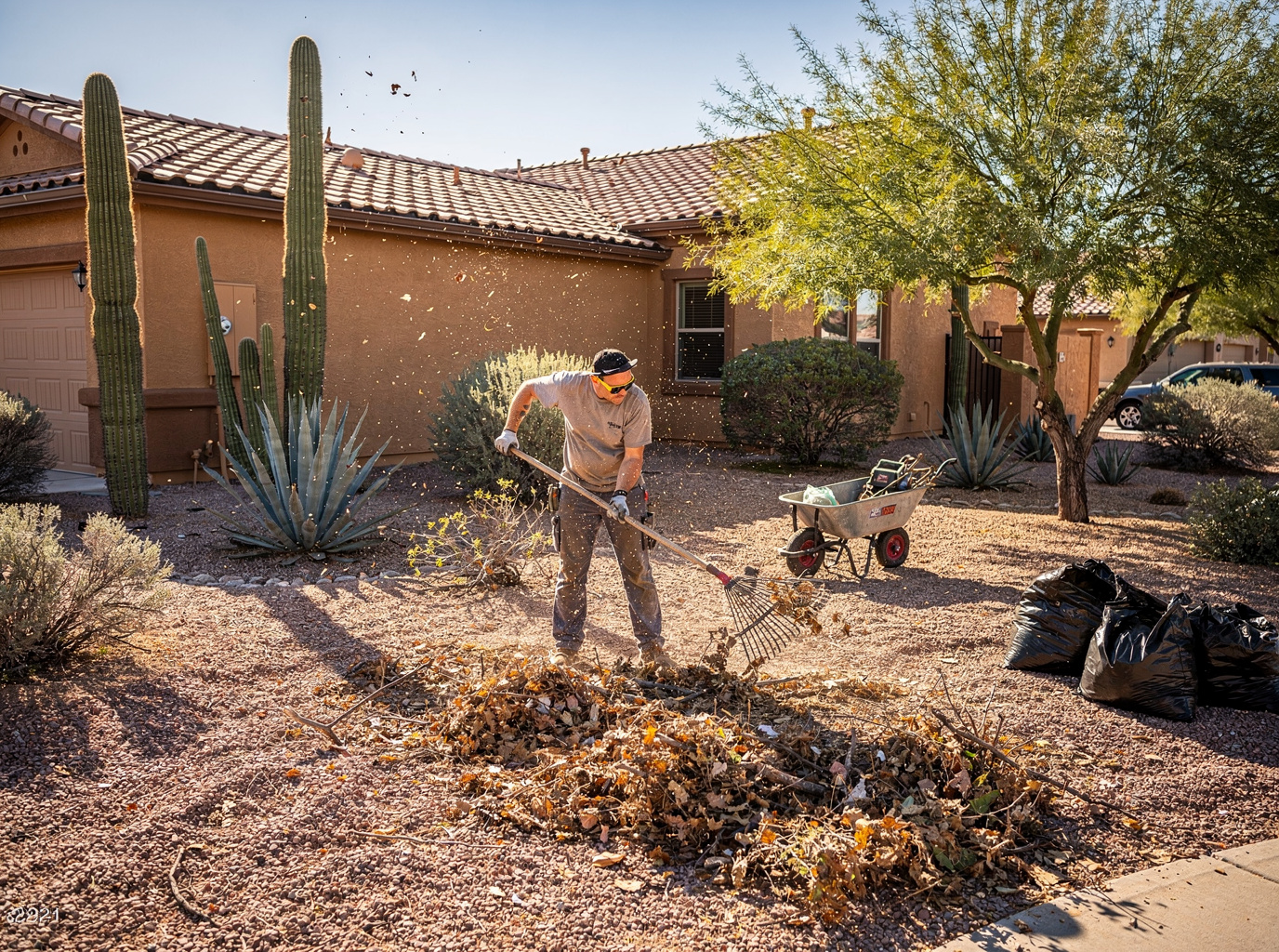 landscaper in Mesa
